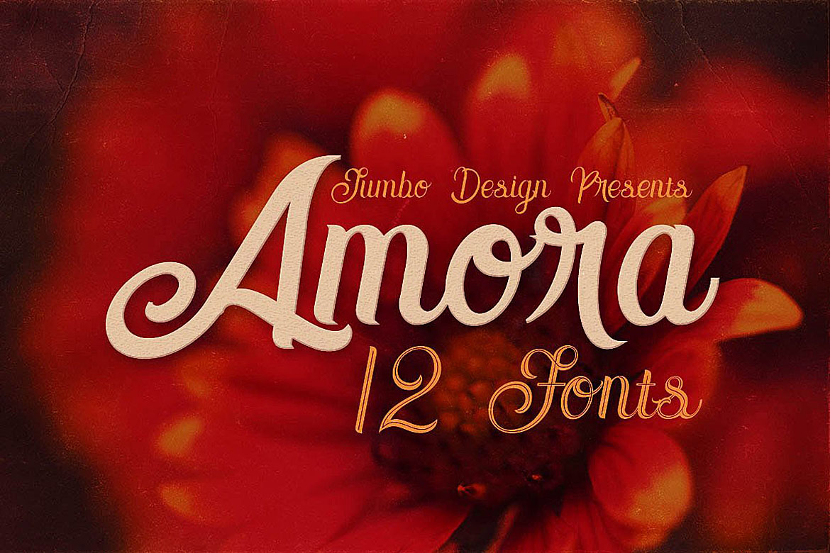Amora Script Font: A Designer’s Branding Test