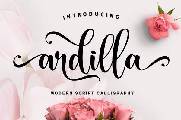 Ardilla Font: Elevating Small Business Branding