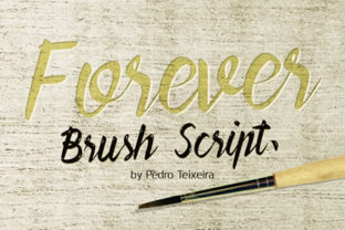 Forever Brush Script Font: A Designer’s Real-World Review