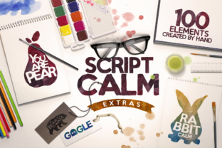 Script Calm Font: Playful Branding for Small Business
