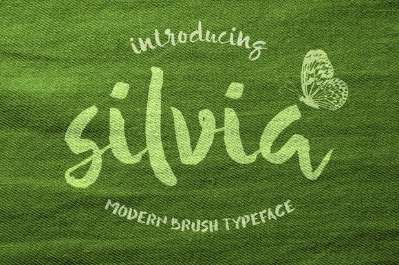 Silvia Font: A Painterly Typeface for Relaxed Branding